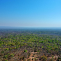Aerial view of Changa Manga forest, highlighting its expansive green canopy.
